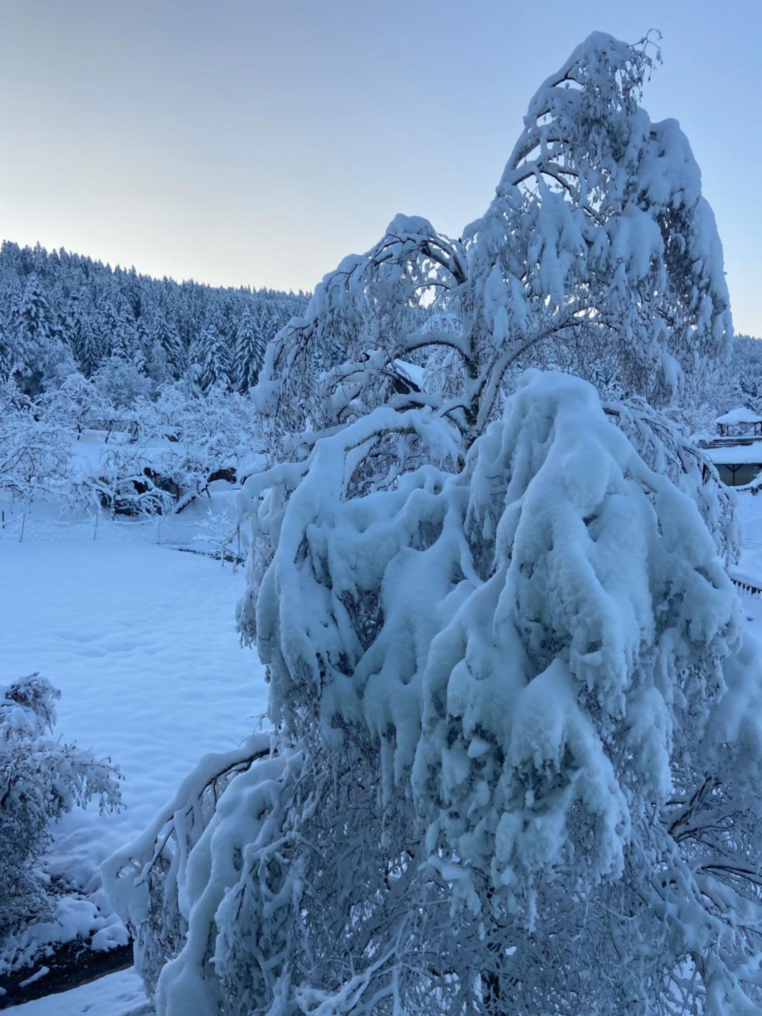 Allgaeu Cottage - Traumhafter Blick In Die Schweizer Berge 魏勒-锡默贝格 外观 照片
