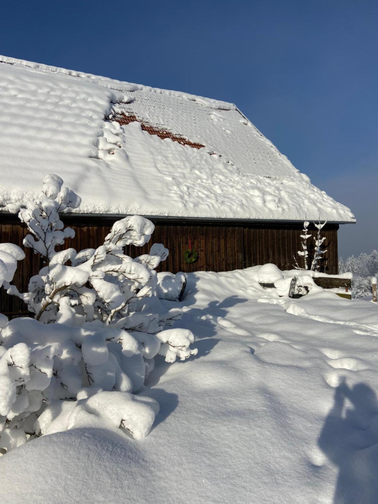 Allgaeu Cottage - Traumhafter Blick In Die Schweizer Berge 魏勒-锡默贝格 外观 照片